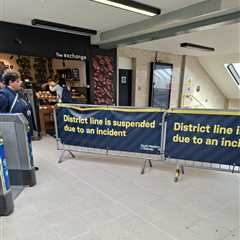 Wimbledon's Transport Nightmare: When London's Tube Fails Tennis Fans