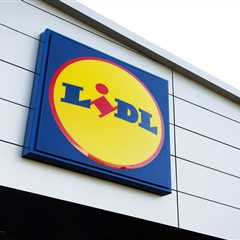 Lidl Just Changed Everything About Self-Checkout (And I Actually Don't Hate It)