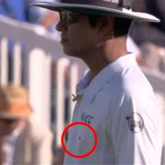 England Test against India STOPPED after swarm of ladybirds cause havoc on pitch