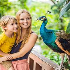How I Learned to Stop Worrying and Love Budget Family Days Out
