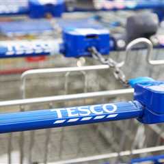 These New Plastic Shopping Trolleys Are Either Genius or Complete Madness
