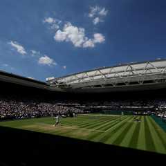 When Wimbledon Turned Into a Medical Drama (And I Watched It All Unfold)