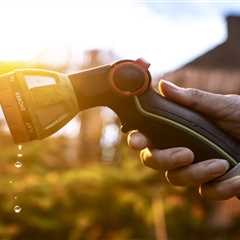 Another Million Brits About to Lose Their Hoses (And I'm Genuinely Worried About My Tomatoes)
