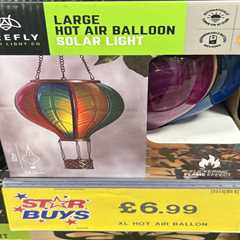 My £6.99 Home Bargains Find That's About to Transform Every Garden in Britain