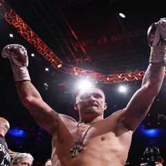 That Left Hook Just Ended Everything: Watching Usyk Demolish Dubois in Real Time