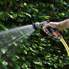 Tomorrow's the Day: Millions Face Hosepipe Bans (And How I'm Not Paying That £1,000 Fine)