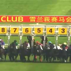 This Jockey Literally Bailed Mid-Race and Now He's Paying for It Big Time
