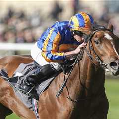 When Racing Gods Fall: O'Brien's Million-Dollar Heartbreak