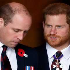 Analytical Reflection: Rosie Roche's Tragic Intersection of Royalty and Reality