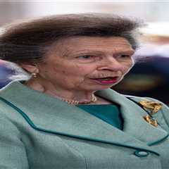 Can Princess Anne Bridge the Divide Among the Royals?