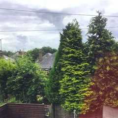 Five Years of Hell: How Two Pensioners Finally Beat Their Neighbors in Edinburgh's Most Ridiculous..