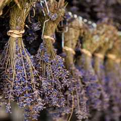 Keeping That Divine Lavender Scent Around When Summer Decides to Ghost You