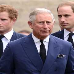 Prince Harry Faces Uphill Battle to Mend Royal Rift Amid Public Scrutiny