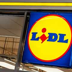 Next Week's Lidl Middle Aisle Haul: I Already Made My Shopping List (And You Should Too)