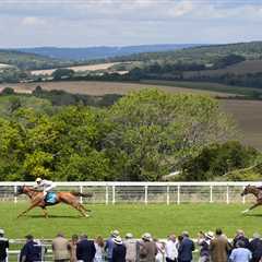 Another Horse Down at Goodwood - When Will This Nightmare End?