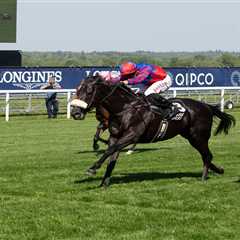 Why Big Mojo Could Make Mick Appleby Look Like a Genius Again
