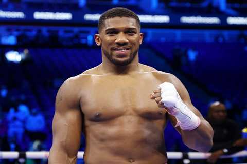 When AJ Met His 18-Year-Old Heir - And Threw Fake Punches Like a Dad at Christmas