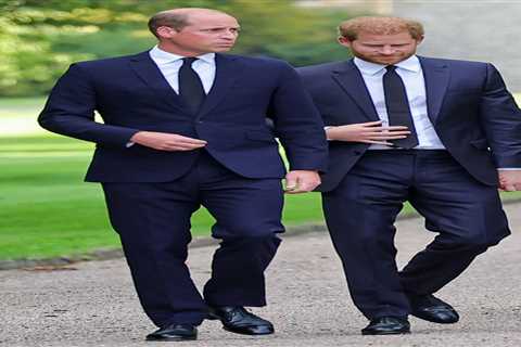Prince Harry’s Unveiling of More Royal Secrets Unveils Uncertain Future, Experts Suggest