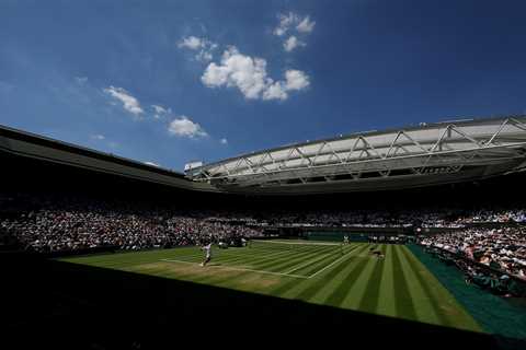 When Wimbledon Turned Into a Medical Drama (And I Watched It All Unfold)