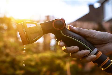 Another Million Brits About to Lose Their Hoses (And I'm Genuinely Worried About My Tomatoes)