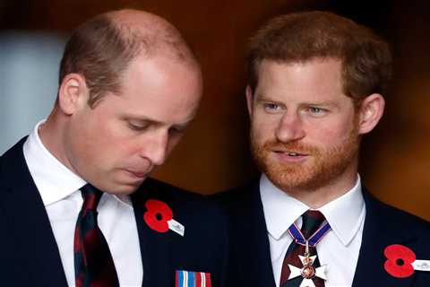 Analytical Reflection: Rosie Roche's Tragic Intersection of Royalty and Reality