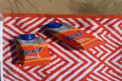 Holy Nostalgia: Reef Just Crashed Back Into My Life (And My Wallet)