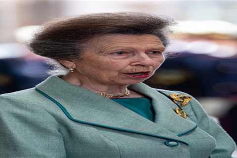 Can Princess Anne Bridge the Divide Among the Royals?