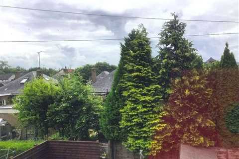 Five Years of Hell: How Two Pensioners Finally Beat Their Neighbors in Edinburgh's Most Ridiculous..