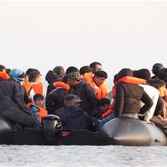 Analyzing the Complexities of NHS Support for Asylum Seekers