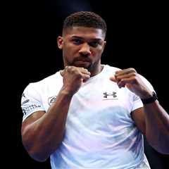 AJ's 2026: Two Massive Fights That'll Either Make or Break Him