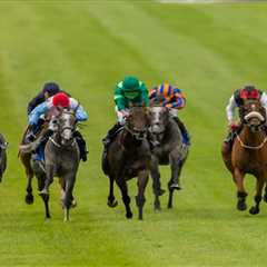 This Grey Horse Nobody's Talking About Just Got Slashed to 10-1 for York's Biggest Handicap