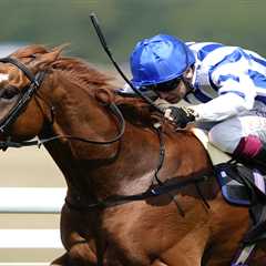 Forty Grand Down the Drain? Brighton's Players Bet Big on Their Million-Dollar Dream Horse