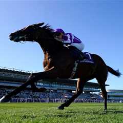 What the Hell Just Happened? O'Brien's £1.2M Juddmonte Shocker Left Everyone Scratching Their Heads