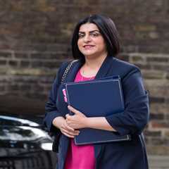 New Legislation to Restrict Criminals from Football Matches and Travel Abroad