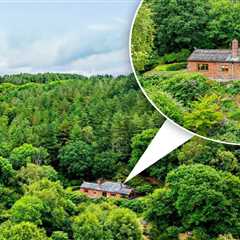 This Woodland Cottage in Shropshire Might Actually Be Britain's Most Isolated House (And I'm Kind..