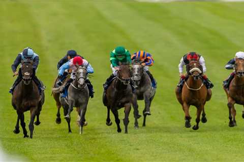 This Grey Horse Nobody's Talking About Just Got Slashed to 10-1 for York's Biggest Handicap
