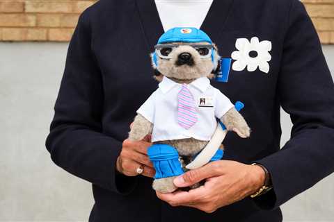 This TV Expert Just Told Me My Junk Drawer Could Pay My Rent