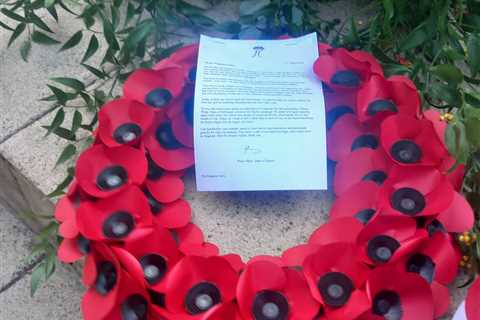 Prince Harry's VJ Day Tribute Sparks Debate Over Royal Protocol