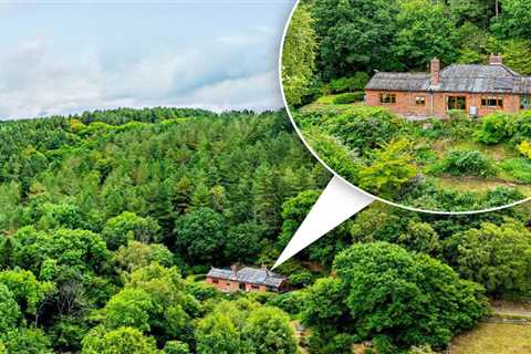 This Woodland Cottage in Shropshire Might Actually Be Britain's Most Isolated House (And I'm Kind..