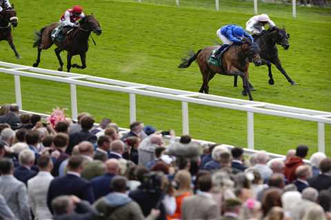 When 5p Turns Into £12K: The Weekend That Made Bookies Weep