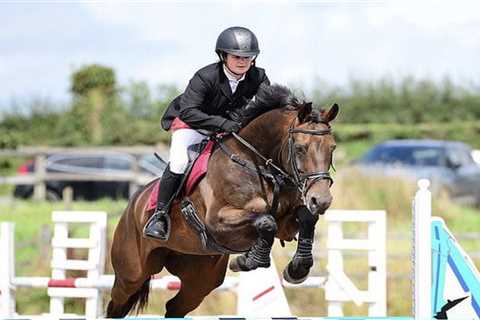 When Everything Goes Wrong in a Split Second