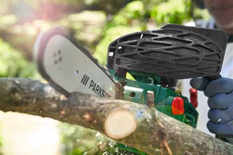 Found This Chainsaw at Lidl and Now My Neighbors Think I've Lost It