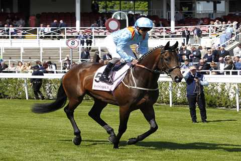 Charlie Johnston's Betting on 'Super Soumi' to Finally Get Lazy Griff Over the Line