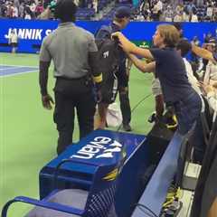 Another Day, Another Grab-Happy Fan at the US Open