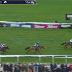 This Cheltenham Winner Just Got the Transfer of a Lifetime