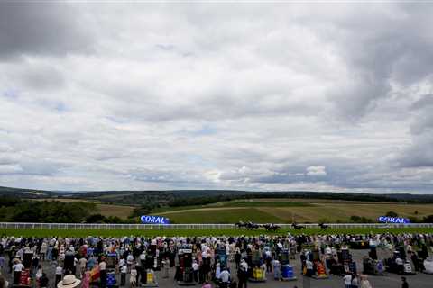 When Mother Nature and Murphy's Law Crash the Party at Goodwood