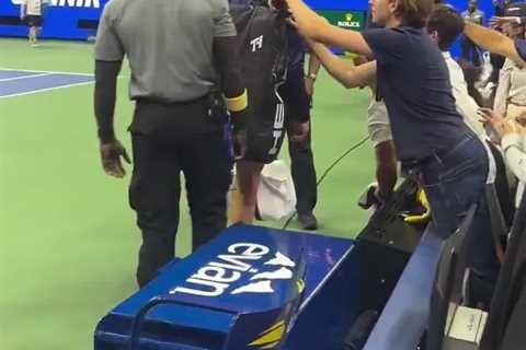 Another Day, Another Grab-Happy Fan at the US Open