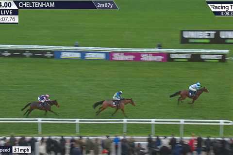 This Cheltenham Winner Just Got the Transfer of a Lifetime